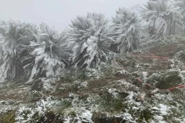 Các tỉnh Bắc Bộ, Thanh Hóa, Nghệ An chủ động ứng phó rét đậm