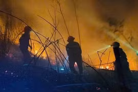 Nắng nóng gay gắt tiếp diễn, nguy cơ cháy rừng tại các địa phương