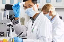 Hơn 10.000 giám đốc điều hành người nước ngoài làm việc tại Việt Nam