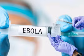Bổ sung thêm 6 chủng virus mới vào phác đồ điều trị bệnh Ebola