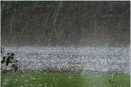 Đề nghị các tỉnh, thành phố chủ động ứng phó với dông lốc, sét và mưa đá 