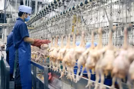 Đề xuất bổ sung nhiều công việc vào danh mục an toàn lao động nghiêm ngặt