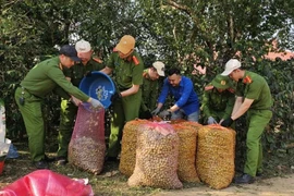 Mưa giông, mưa đá gây thiệt hại nặng tại các địa phương