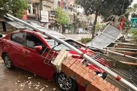 Một người tử vong do bị cây đổ trúng người khi mưa dông