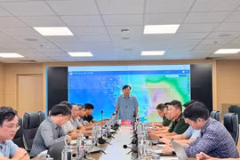 Bão Maysak dự kiến đổ bộ Quảng Ninh