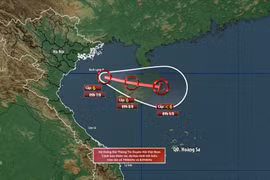 Yêu cầu các địa phương ứng phó với áp thấp nhiệt đới