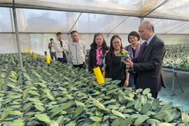 Hai điểm sáng của phong trào xây dựng nông thôn mới ở Hà Nội