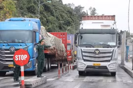 Kéo dài thời gian tạm ngưng hiệu lực Nghị định 46 và Nghị quyết 66.13 về an toàn thực phẩm
