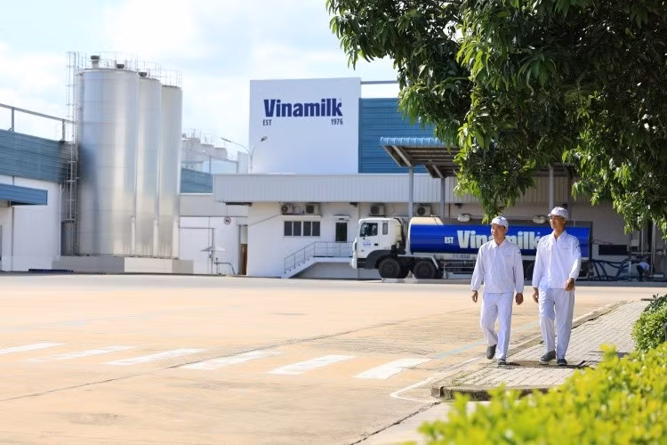 vnm-1.jpg