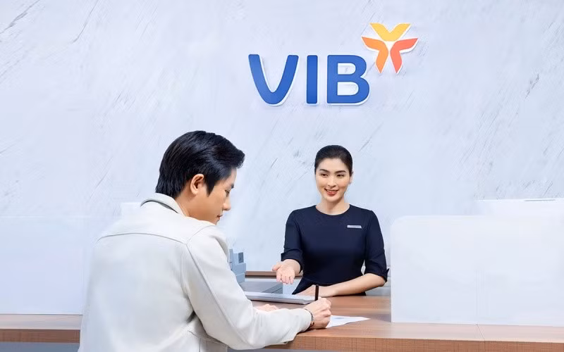 vib-4.jpg