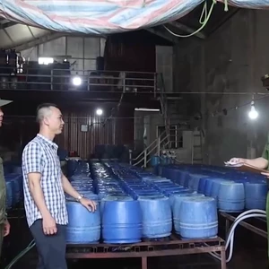 Bắt giữ chủ cơ sở bán 60 tấn giá đỗ ngâm chất tăng trưởng 