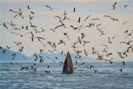 Chinh phục du khách bằng điểm đến chất lượng