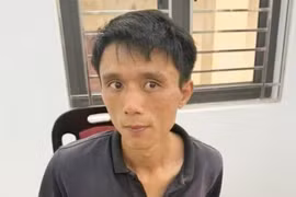 Đối tượng sát hại cụ bà "U90" đã bị bắt 