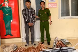 Bắt đối tượng 12 lần trộm cắp tài sản của một công ty