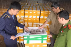 10 tấn cá khoai Trung Quốc tẩm formol cực độc từ Bắc vào Nam và lên... bàn ăn