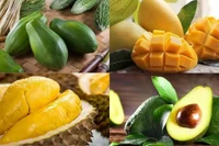 Trái cây Việt Nam xuất khẩu sang Pháp cần lưu ý dư lượng chất bảo vệ thực vật