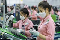 Kim ngạch thương mại Việt Nam - Ấn Độ lập kỷ lục mới