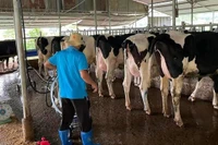 Mỗi người Việt sẽ tiêu thụ 100 lít sữa/năm