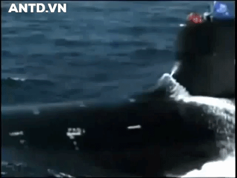 Tàu ngầm hạt nhân tấn công Virginia của Mỹ Tàu ngầm hạt nhân tấn công Virginia của Mỹ