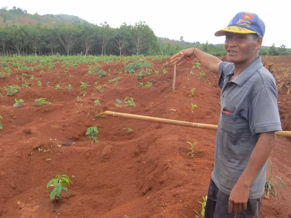 Sự thật về lời đồn bị thần linh trừng phạt khiến cả làng hoang mang ảnh 1