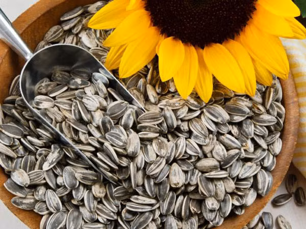 Tổn thương não do thiếu vitamin E ảnh 1
