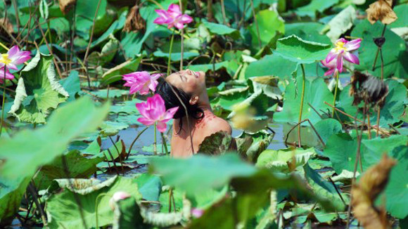 Phê bình văn học: Đừng nhăm nhăm vạch vòi... ảnh 1