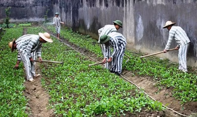 Phạm nhân cải tạo tốt sẽ được bình xét, đề nghị khen thưởng Phạm nhân cải tạo tốt sẽ được bình xét, đề nghị khen thưởng