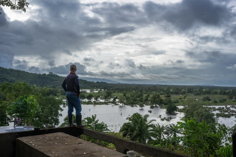 Nhà bảo vệ môi trường Nelbin Bustamante được quân đội hộ tống giám sát một đồn điền cọ dầu bất hợp pháp tại công viên quốc gia Blanca Jeannette Kawas