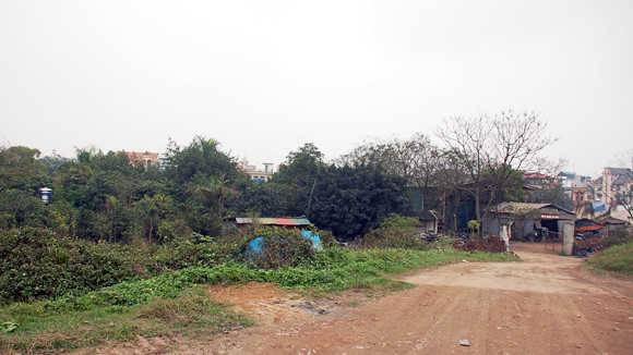 Bất động sản ế ẩm, đất dự án thành… sân bóng ảnh 1