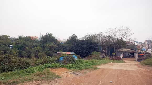 Bất động sản ế ẩm, đất dự án thành… sân bóng ảnh 1