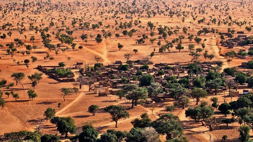 Nhờ công cụ đo đếm mới, giới khoa học ngày càng có được con số chính xác về lượng cây cối đang tồn tại trên hành tinh