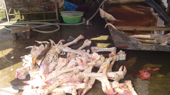 Bao giờ mới được ăn thịt sạch? ảnh 1 Bao giờ mới được ăn thịt sạch? ảnh 1