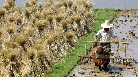 Thế giới lo ngại việc “mở rộng” của Trung Quốc ảnh 1 Thế giới lo ngại việc “mở rộng” của Trung Quốc ảnh 1