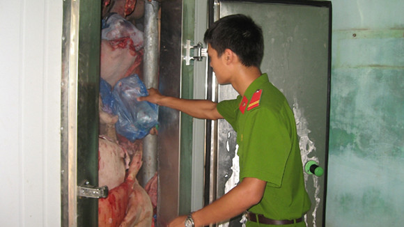 Tăng cường phòng, chống vi phạm về môi trường ảnh 1