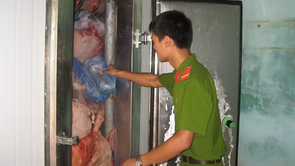 Tăng cường phòng, chống vi phạm về môi trường ảnh 1