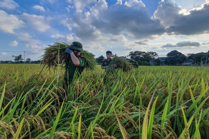 Những việc làm thiết thực giúp đỡ nhân dân đã góp phần xây dựng hình ảnh đẹp của lực lượng Công an Thủ đô Những việc làm thiết thực giúp đỡ nhân dân đã góp phần xây dựng hình ảnh đẹp của lực lượng Công an Thủ đô