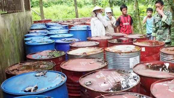 Dung túng, bao che vi phạm môi trường ảnh 1 Dung túng, bao che vi phạm môi trường ảnh 1