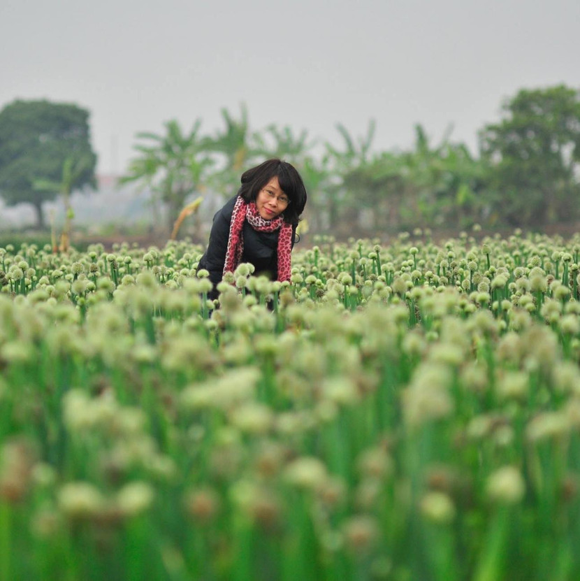 Nhà báo Vinh Hương