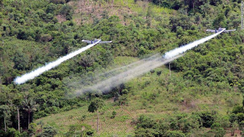 Colombia đang định nối lại chương trình phun hóa chất diệt trừ cây coca sau khi đã ngừng từ năm 2015