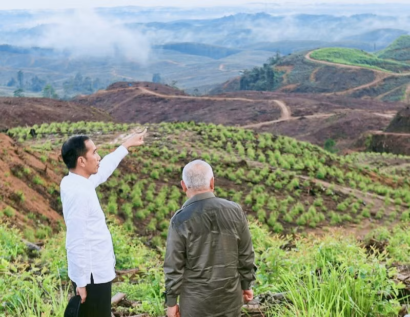Tổng thống Indonesia Joko Widodo cùng Thống đốc Đông Kalimantan thăm khu vực dự kiến xây dựng thủ đô mới