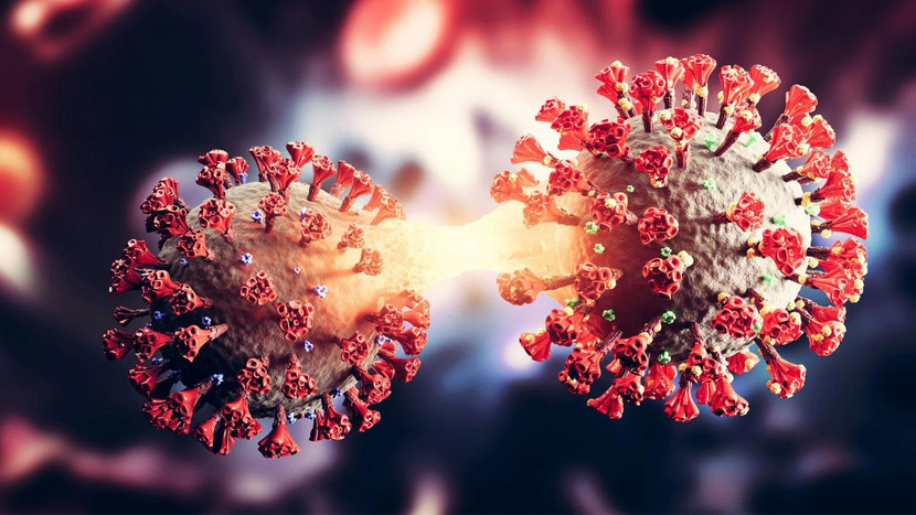 Biến thể lai giữa các chủng Delta và Omicron có thể là “cơn ác mộng” tiếp theo của đại dịch Covid-19 Biến thể lai giữa các chủng Delta và Omicron có thể là “cơn ác mộng” tiếp theo của đại dịch Covid-19