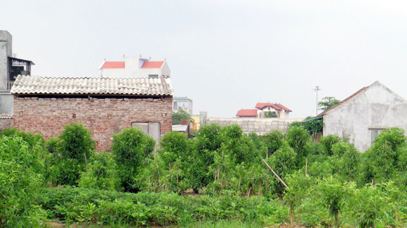 Nhiều nhà siêu mỏng, siêu méo vẫn còn nguyên như... thách thức ảnh 1