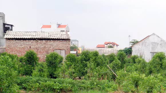 Nhiều nhà siêu mỏng, siêu méo vẫn còn nguyên như... thách thức ảnh 1