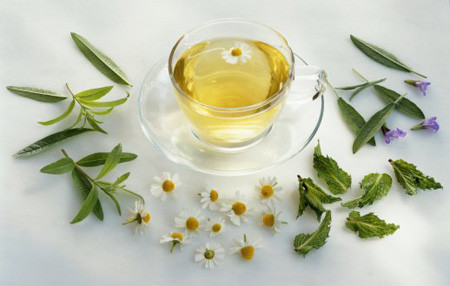 Trà từ phân gấu trúc ảnh 1