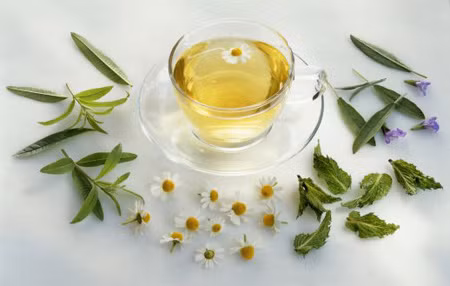 Trà từ phân gấu trúc ảnh 1