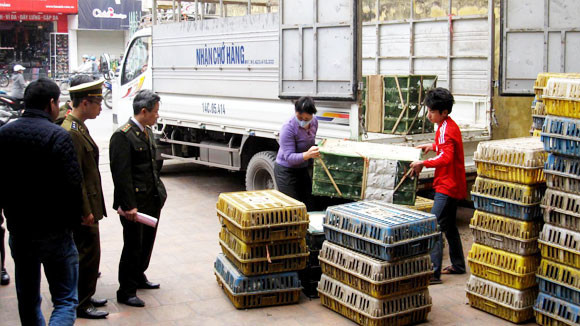 Khẳng định vai trò, vị thế ảnh 1