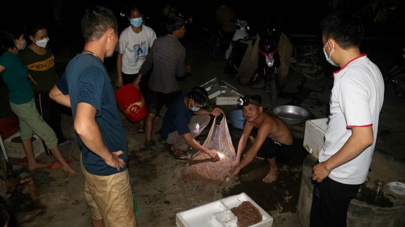 Để bắt rươi, người dân phải đi từ lúc nửa đêm Để bắt rươi, người dân phải đi từ lúc nửa đêm