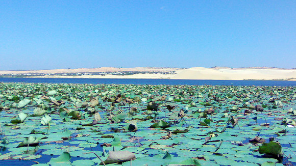 Bàu Cát - hồ trên sa mạc ảnh 2