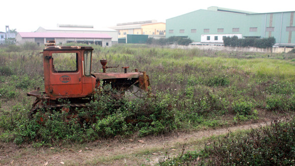Hàng loạt sai phạm về đất đai tại huyện Thanh Trì, Hà Nội ảnh 1
