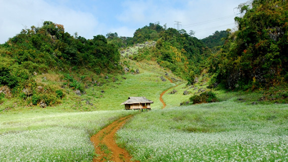 Nghỉ lễ trong thời “buộc bụng” ảnh 1